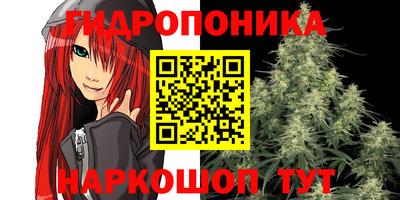 mdpv Новодвинск