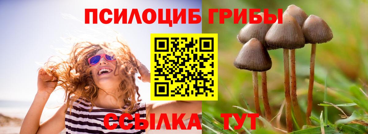 Галлюциногенные грибы мицелий  Галлюциногенные грибы MAGIC MUSHROOMS  Вход с VPN  Анапа 